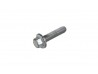 Ignition Coil Screw Duratec