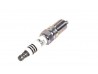 SPARK PLUG DURATEC SEVEN 485 (PRE-2021)