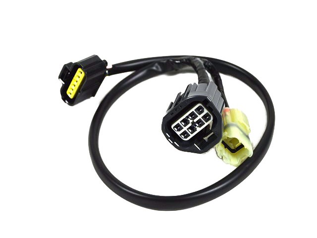 Fuel Pump and Control Module Loom