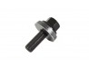 Crankshaft Bolt Duratec