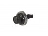 Crankshaft Bolt Duratec