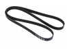 Seven 620 Engine Drive Belt