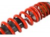 Rear Spring/Damper Assy 420R Race + 620