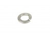 M12 Spring Washer