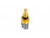 Coolant Temperature Sender - Duratec