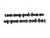 Camshafts - Duratec 210hp Spec