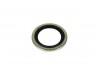 Dowty Seal - 1/2'' BSP