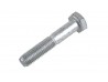 M10 x 55 Bolt