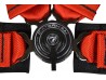 Seatbelt - 4 Point Quick Release - Red