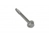M10 x 100mm Bolt