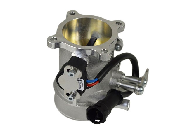 Sigma Throttle Body