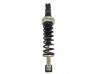 Front Spring/Damper Assembly - 1996 onwards