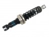 Front Spring/Damper Assembly - 1996 onwards