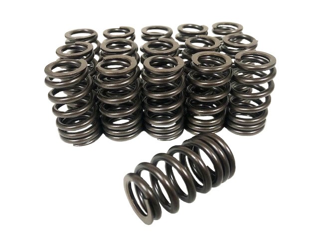 Duratec Valve Spring Set
