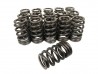 Duratec Valve Spring Set