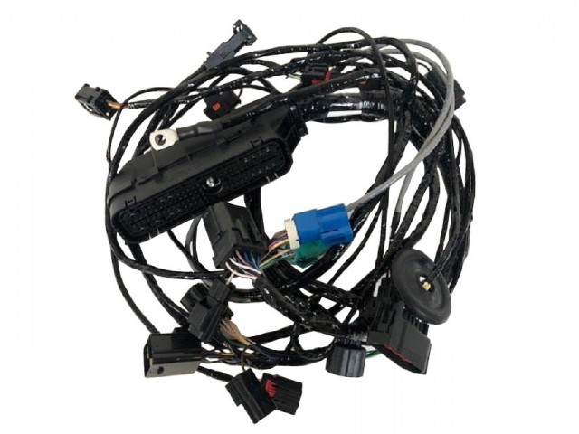 Engine Bay Loom Sigma