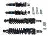 Bilstein Spring & Damper Conversion