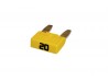 20 Amp Mini Fuse
