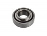 Suzuki Rear Wheel Bearing