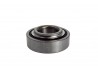 Suzuki Rear Wheel Bearing