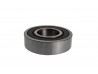 Suzuki Rear Wheel Bearing