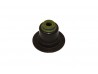 INLET VALVE STEM SEALS - DURATEC