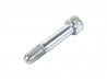 CSR Bolt M10x50mm