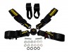 SCHROTH 6-POINT HARNESS LH 2018