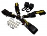 SCHROTH 6-POINT HARNESS LH 2018