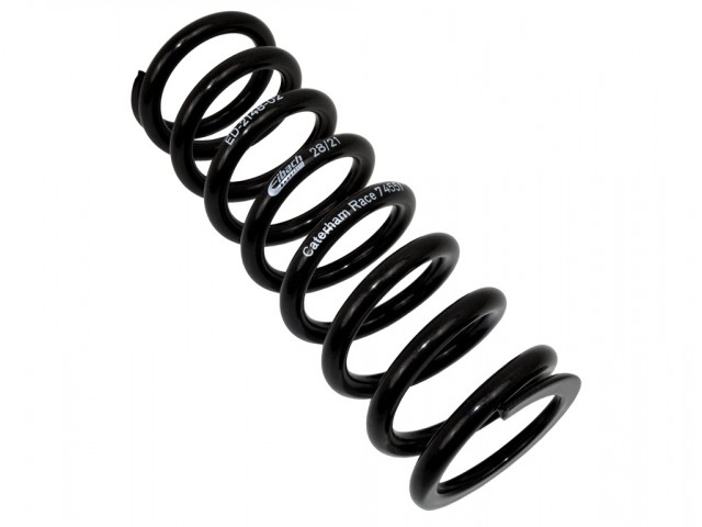 Rear Race Spring