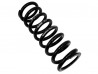 Rear Race Spring