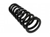 Rear Race Spring