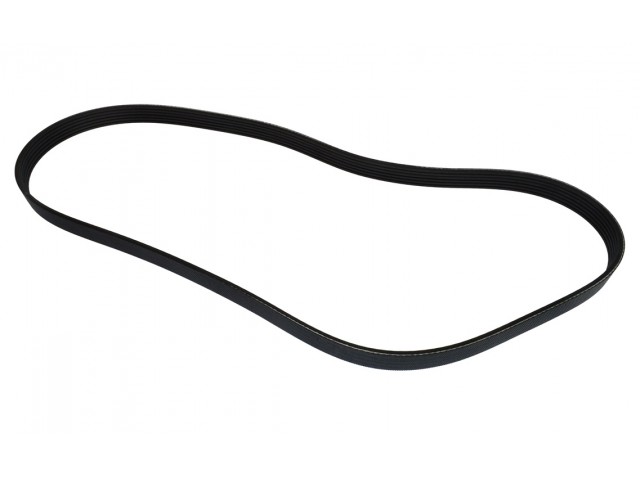 Alternator Belt - Sigma