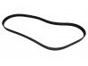 Alternator Belt - Sigma