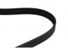 Alternator Belt - Sigma