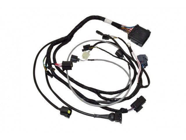 Engine Loom - Road 08 - R300 & R500 Duratec