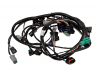 ENGINE HARNESS - SEVEN 170