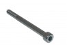 BOLT CAPHEAD M8X100