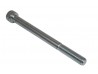 BOLT CAPHEAD M8X100