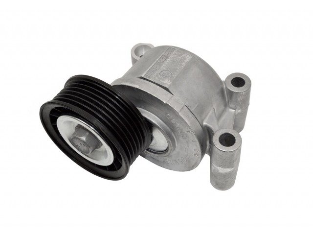 Tensioner Assembly CSR260