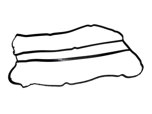 Sigma Cam Cover Seal