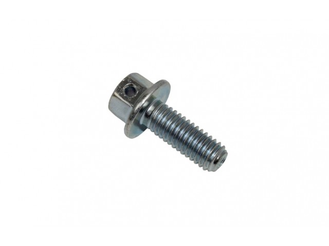 Setscrew - Flanged Head - M6 x 16mm