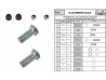 SV Track Day Roll Bar Kit Imperial