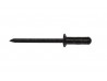 5/32" Countersunk Black Rivet