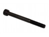 M8 x 80mm Socket Caphead