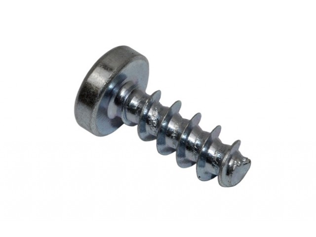 Fuel Rail Screw