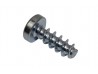 Fuel Rail Screw