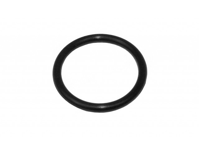 Scavenge Pipe O-Ring CSR
