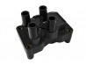 Sigma Ignition Coil Pack