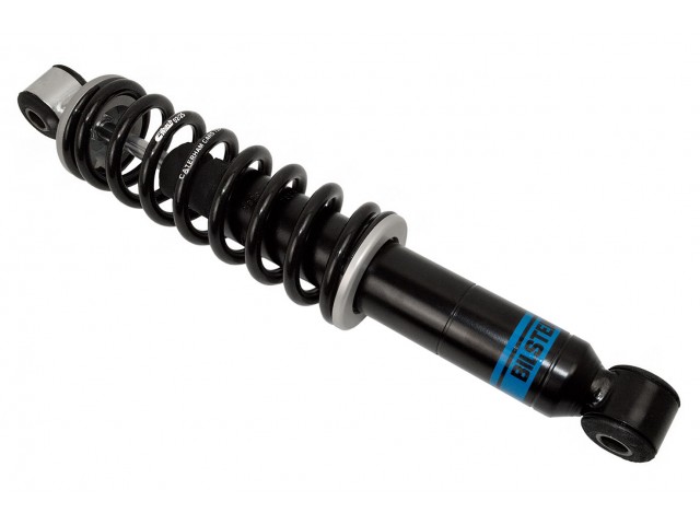 Front Spring/Damper Assembly